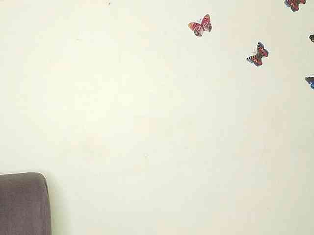 Majo-HT webcam