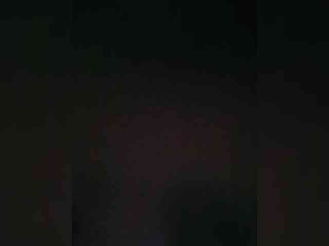 Sneakybee webcam