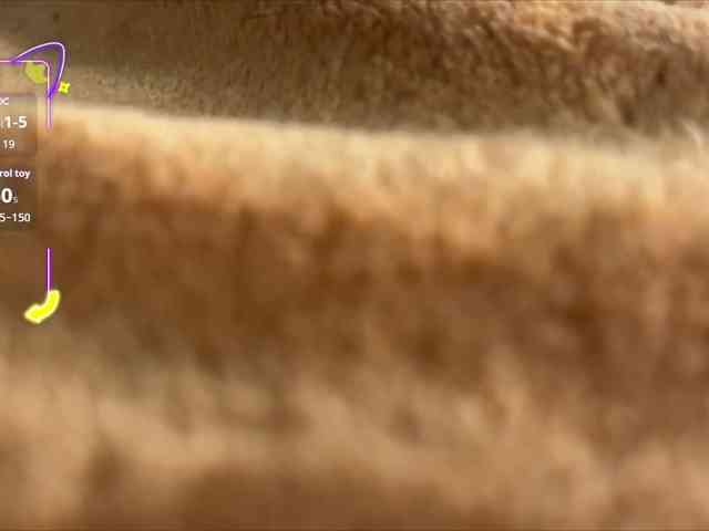 JessaVioletLIVE webcam