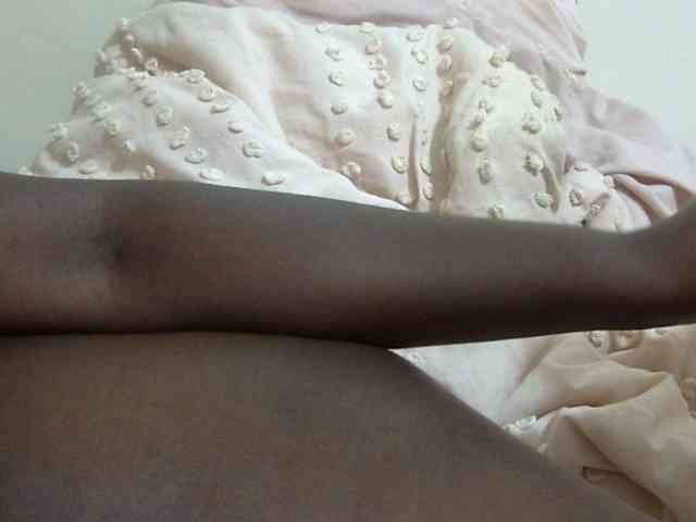 pretty-lioness webcam