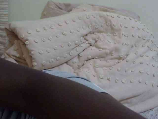 pretty-lioness webcam