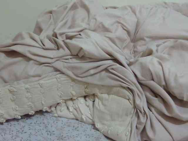 pretty-lioness webcam