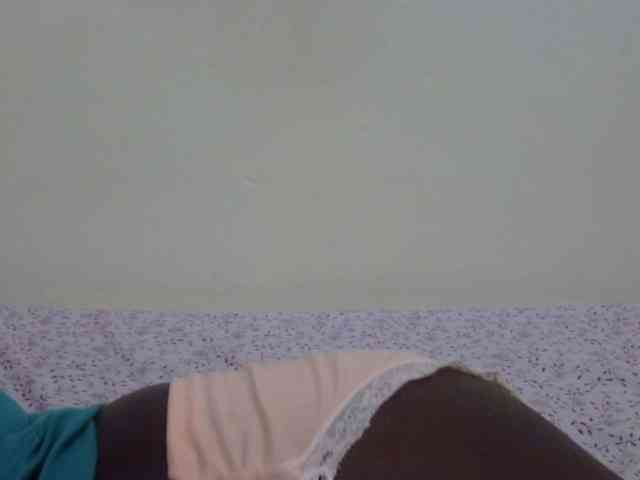 pretty-lioness webcam