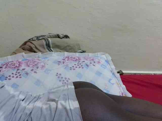 pretty-lioness webcam