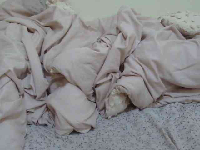 pretty-lioness webcam