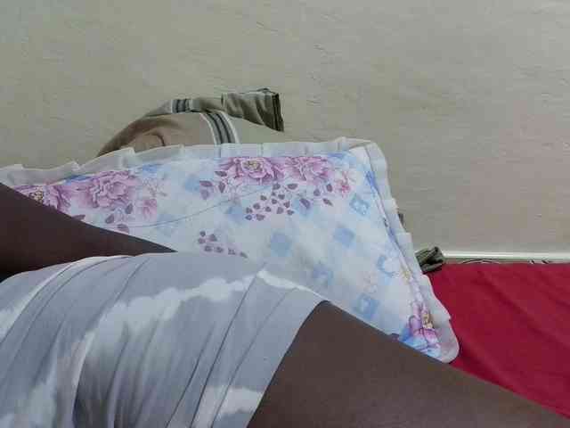 pretty-lioness webcam