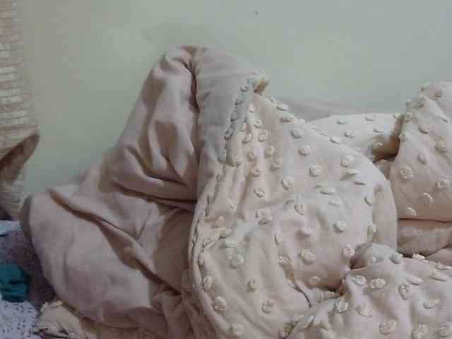 pretty-lioness webcam