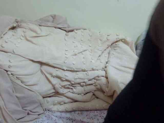 pretty-lioness webcam