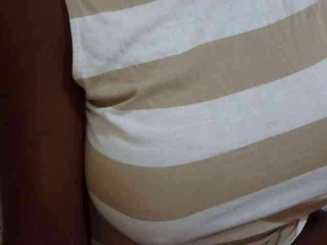 pretty-lioness webcam