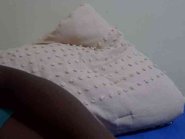 pretty-lioness webcam