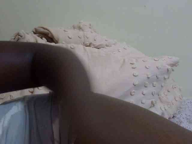 pretty-lioness webcam