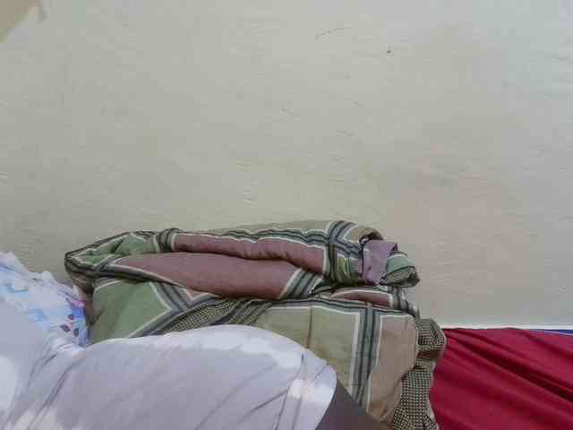 pretty-lioness webcam