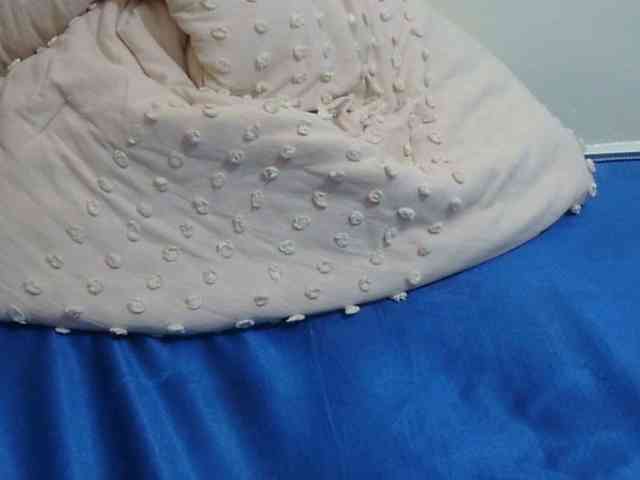 pretty-lioness webcam