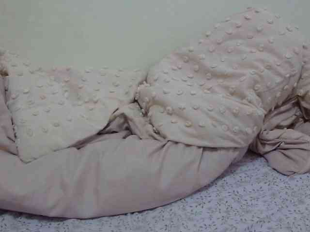 pretty-lioness webcam