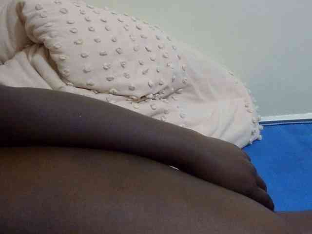 pretty-lioness webcam