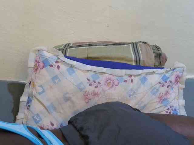 pretty-lioness webcam