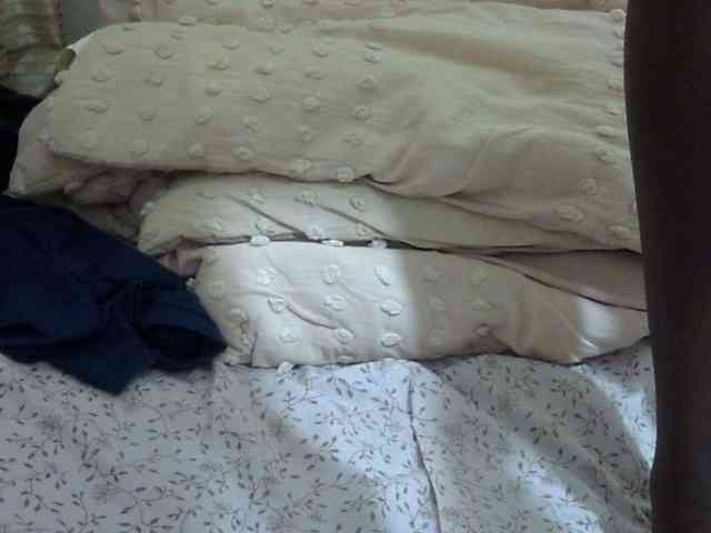 pretty-lioness webcam