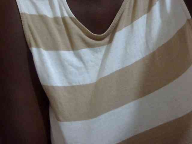 pretty-lioness webcam