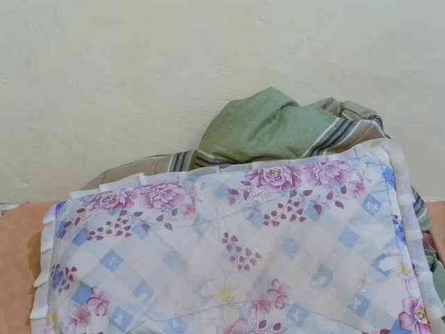 pretty-lioness webcam