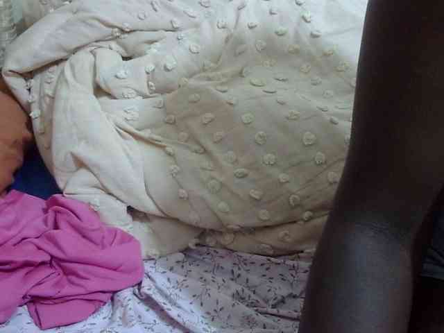 pretty-lioness webcam