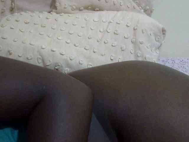 pretty-lioness webcam