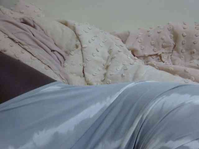 pretty-lioness webcam