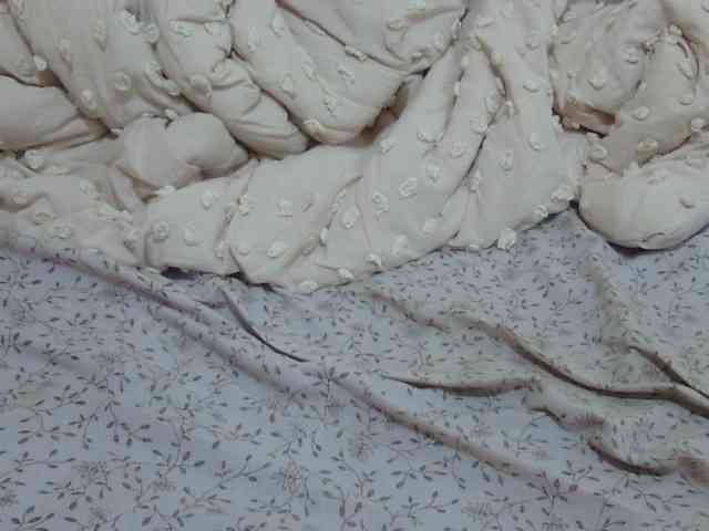 pretty-lioness webcam