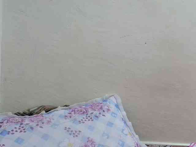 pretty-lioness webcam