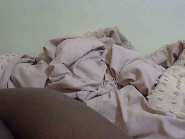 pretty-lioness webcam