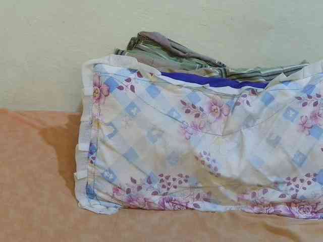 pretty-lioness webcam