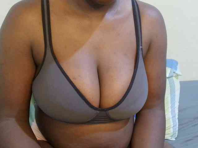 pretty-lioness webcam