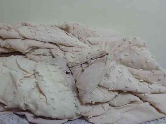 pretty-lioness webcam