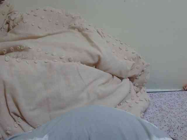 pretty-lioness webcam