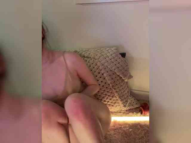 lolyouxd webcam