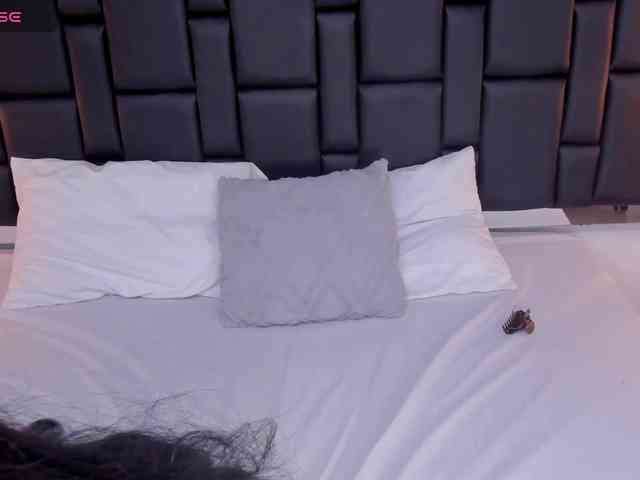 ROUSEMILLER-VC webcam