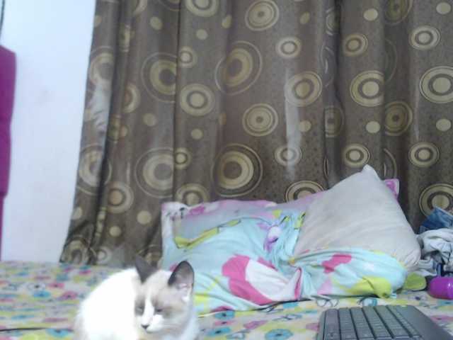 Preview of fenixxx_1