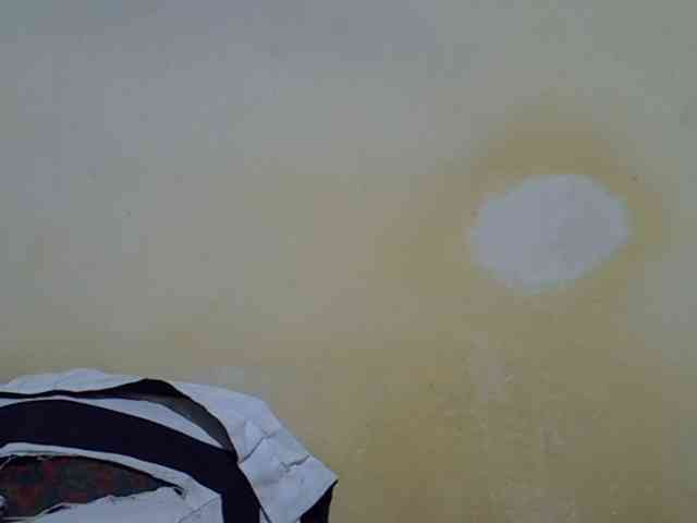 Pretty-doll webcam