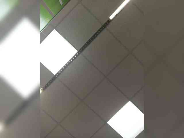 Savuka webcam