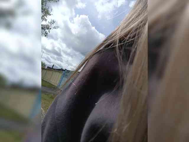 Savuka webcam