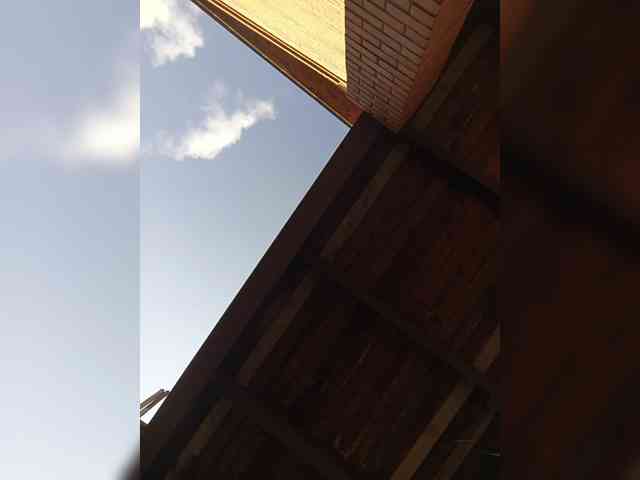 Savuka webcam
