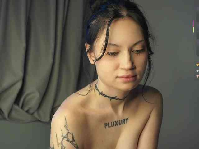 PLUXURY- webcam