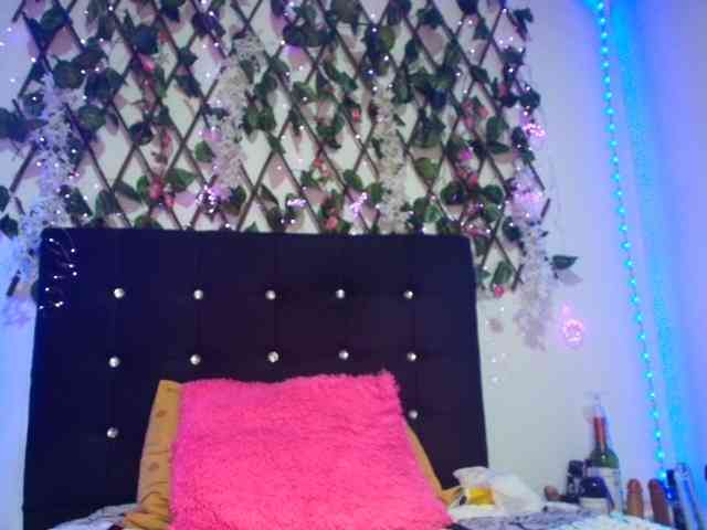 anymour webcam