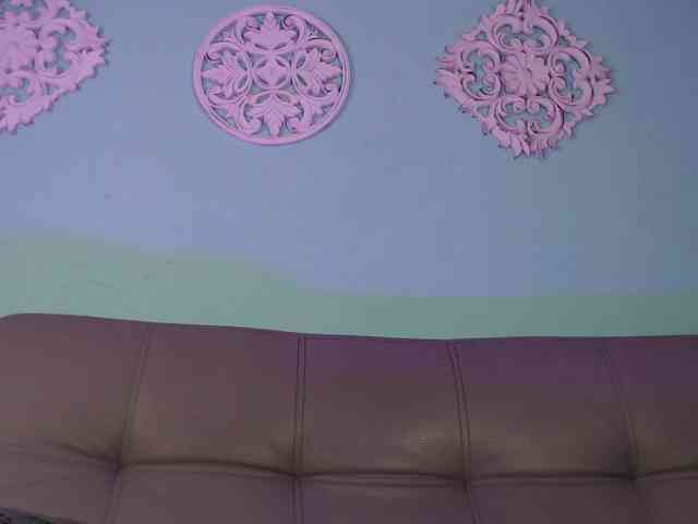 CattaleyaStonee webcam