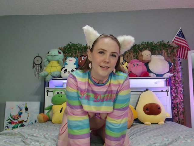 Syndica webcam