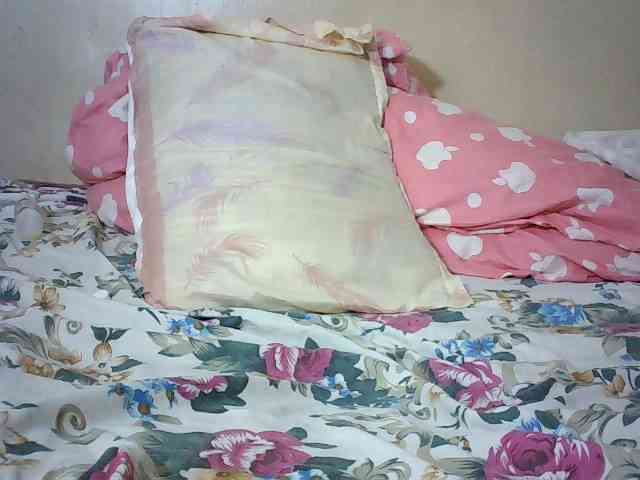 afina22 webcam