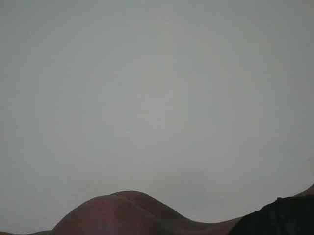 sexyebonita webcam