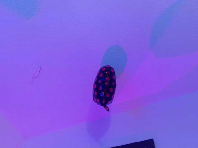 Annie-switt's BongaCams show and profile