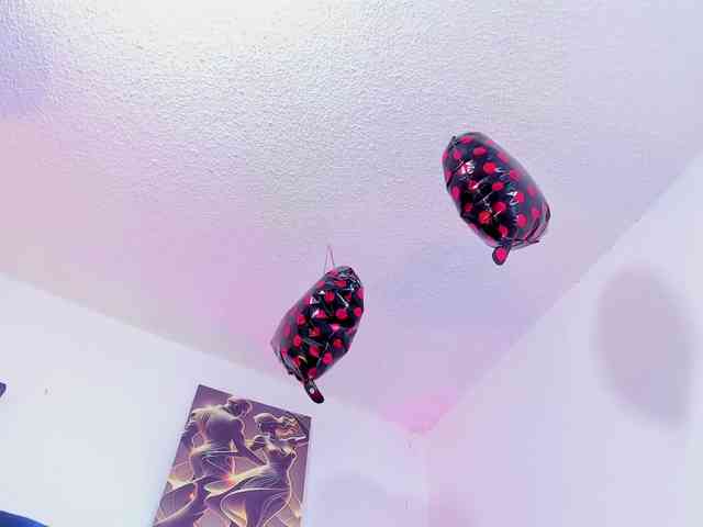 Annie-switt Annie-switt