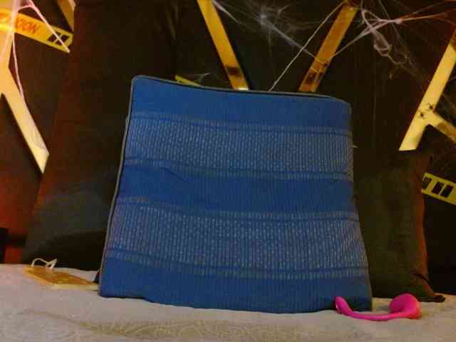 MagiArias webcam