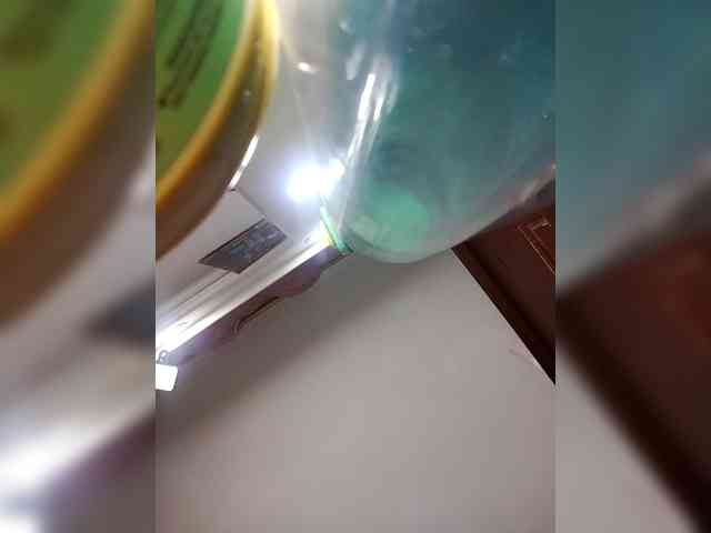 GoddessCarrie webcam